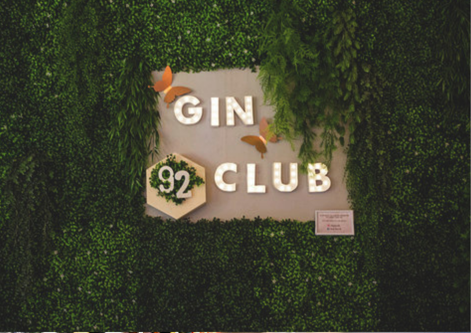 gin club 8