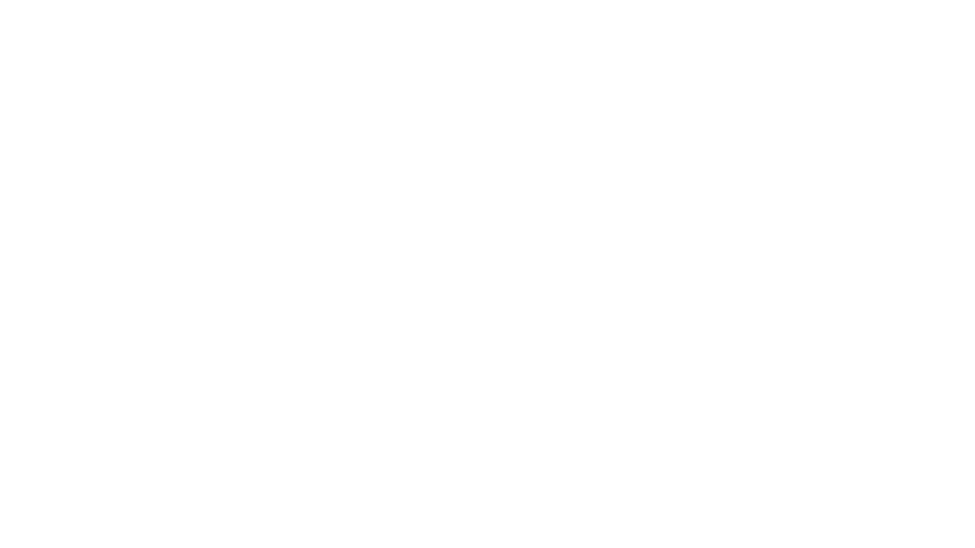 Brindis Var Logo